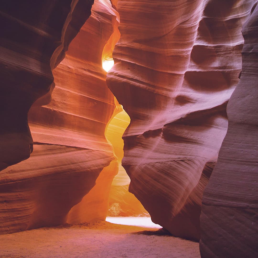 Psalm 116: Psalm of Praise