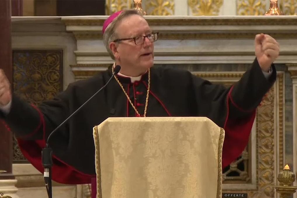 Bishop Barron disputes NYT report on Christians killed in Nigeria