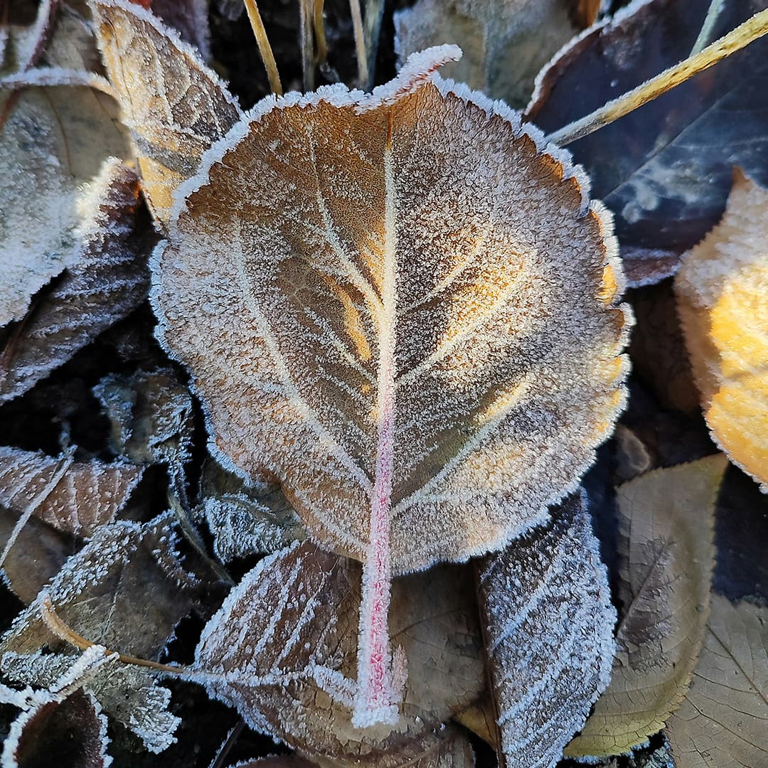 Psalm 70: Psalm of Grief