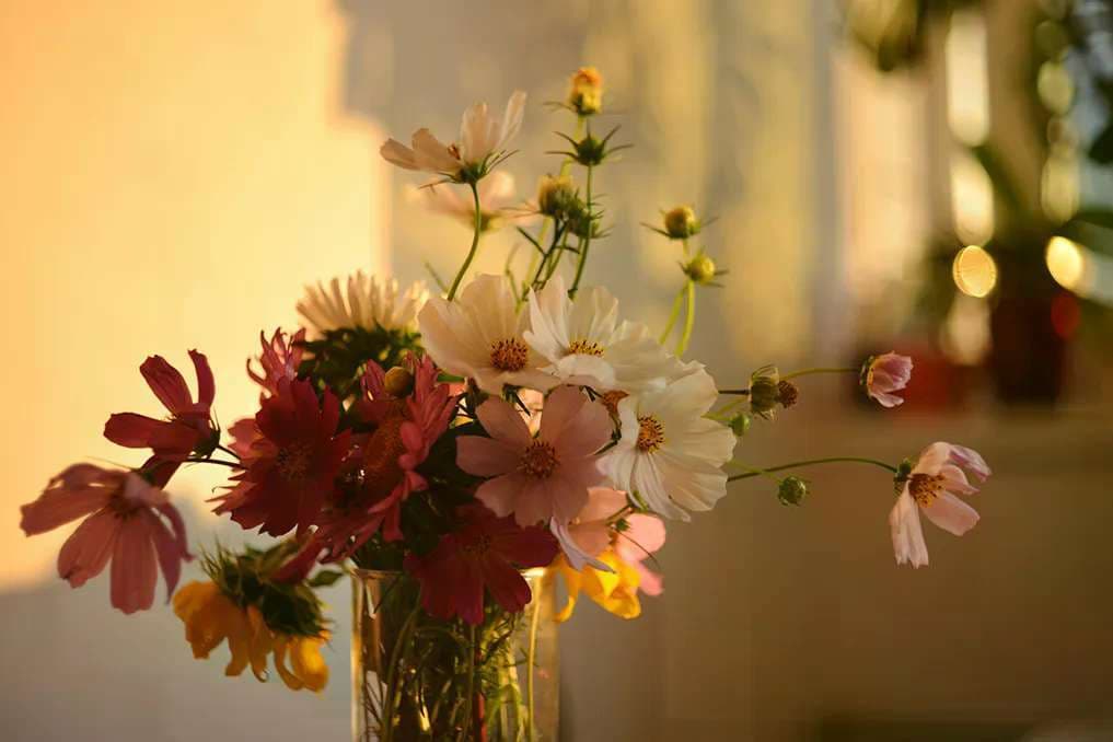 Is romanticizing your life actually Biblical?