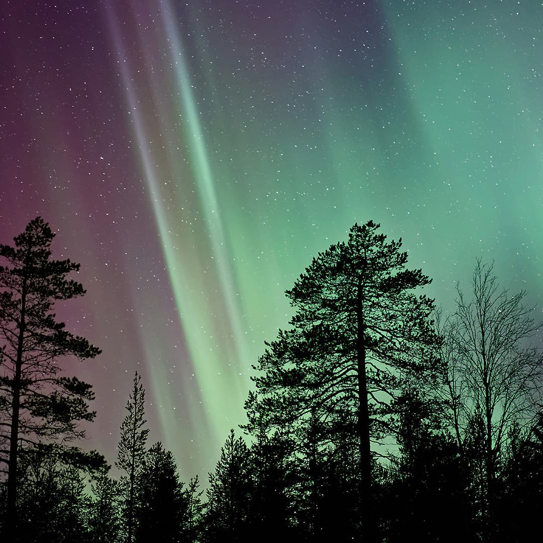 Psalm 95: Psalm of Praise