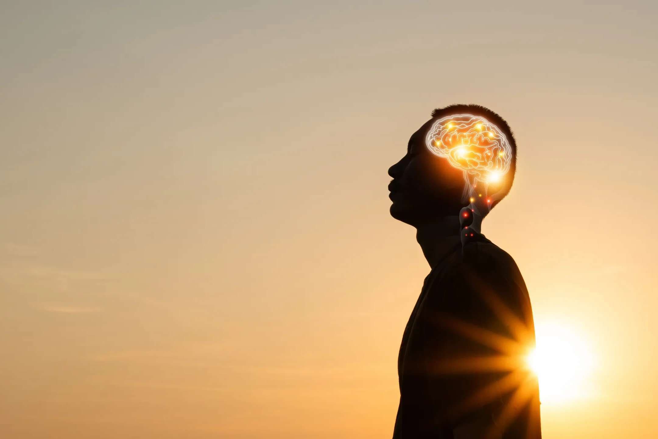 Catholics scientists’ society prepares for annual conference on intersection of faith and science