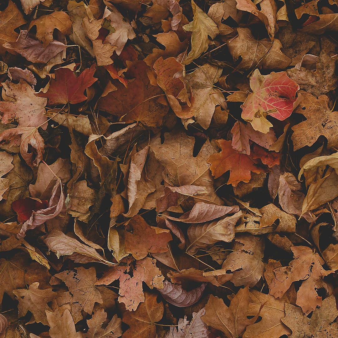 Psalm 69: Psalm of Grief