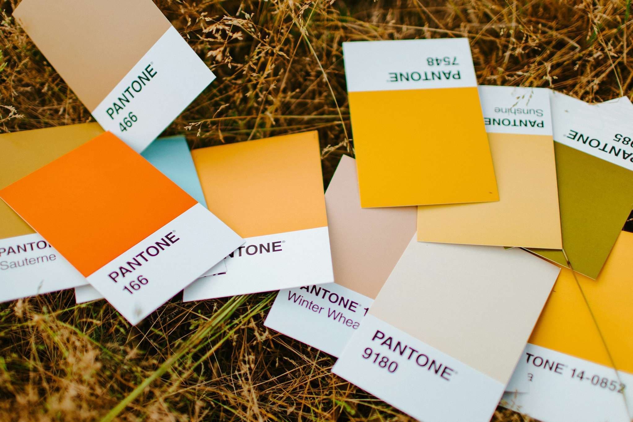 How to dress with the Pantone color palettes for every season