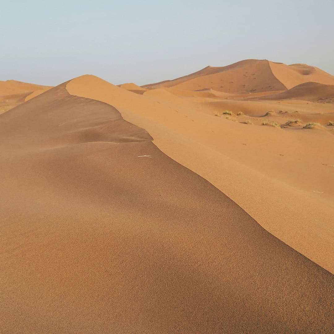 Psalm 90: Psalm of Grief