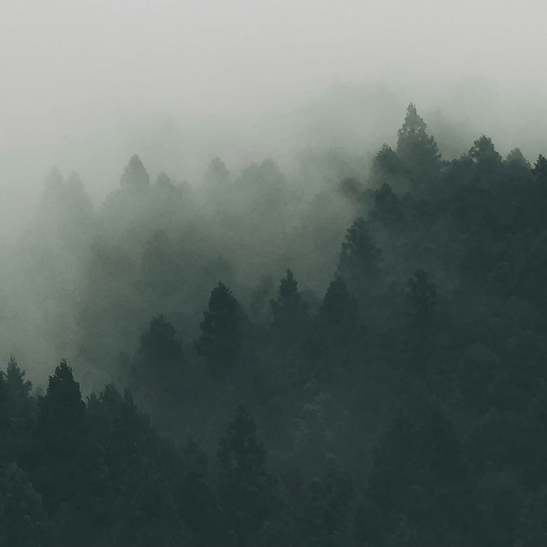 Psalm 16: Psalm of Grief