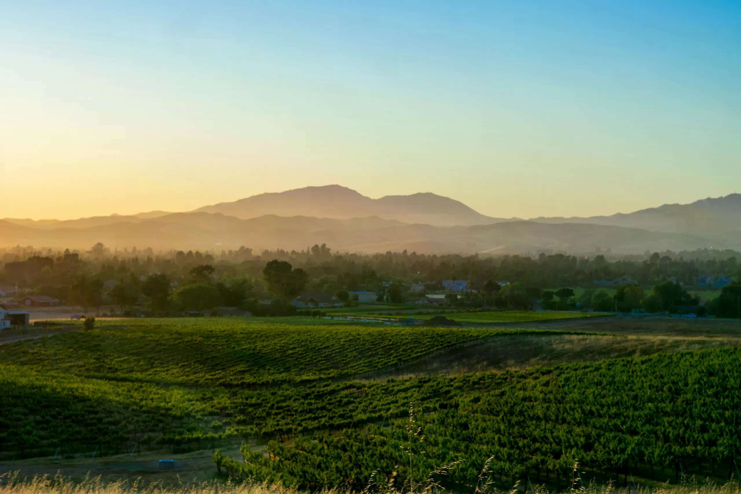 High school students embark on inaugural Camino de San Francisco to mark 800th year since St. Francis’ death