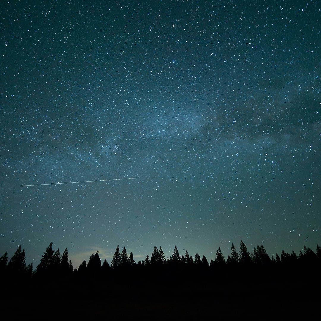 Psalm 33: Psalm of Praise