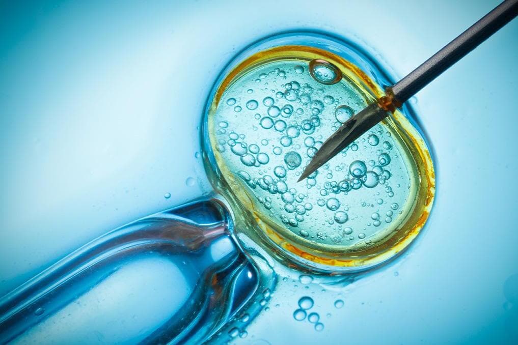 UK reports births of ‘3-parent babies’ through IVF procedure