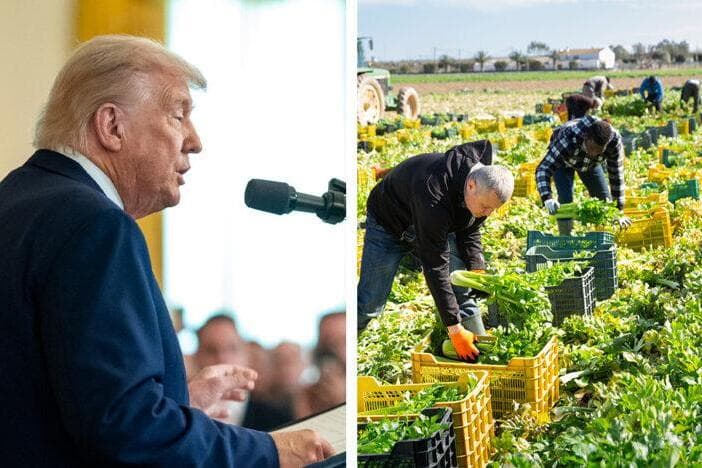 Trump’s deportation strategy reshapes American workforce, spurs wage growth