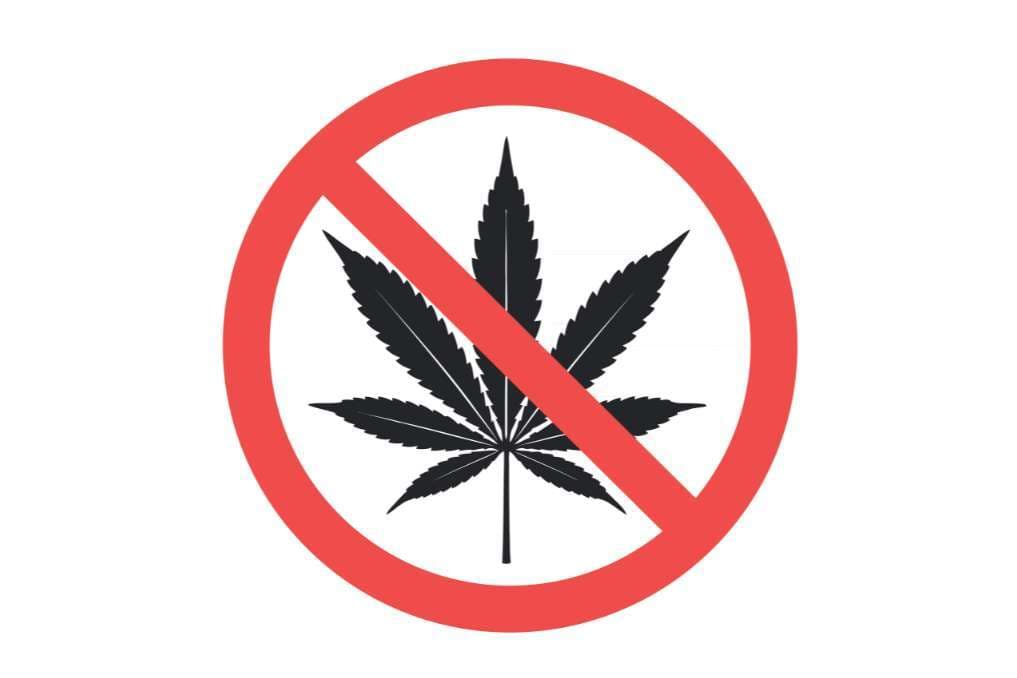 CatholicVote launches petition urging Trump to halt cannabis rescheduling