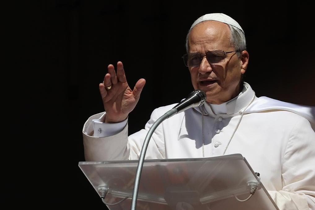 Pope Leo warns members of Amazon bishops’ conference not to worship nature