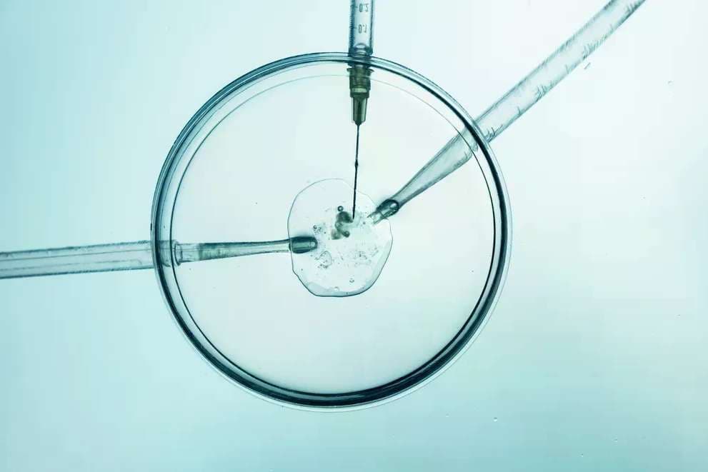 Catholic bioethics conference to address moral challenges in healthcare