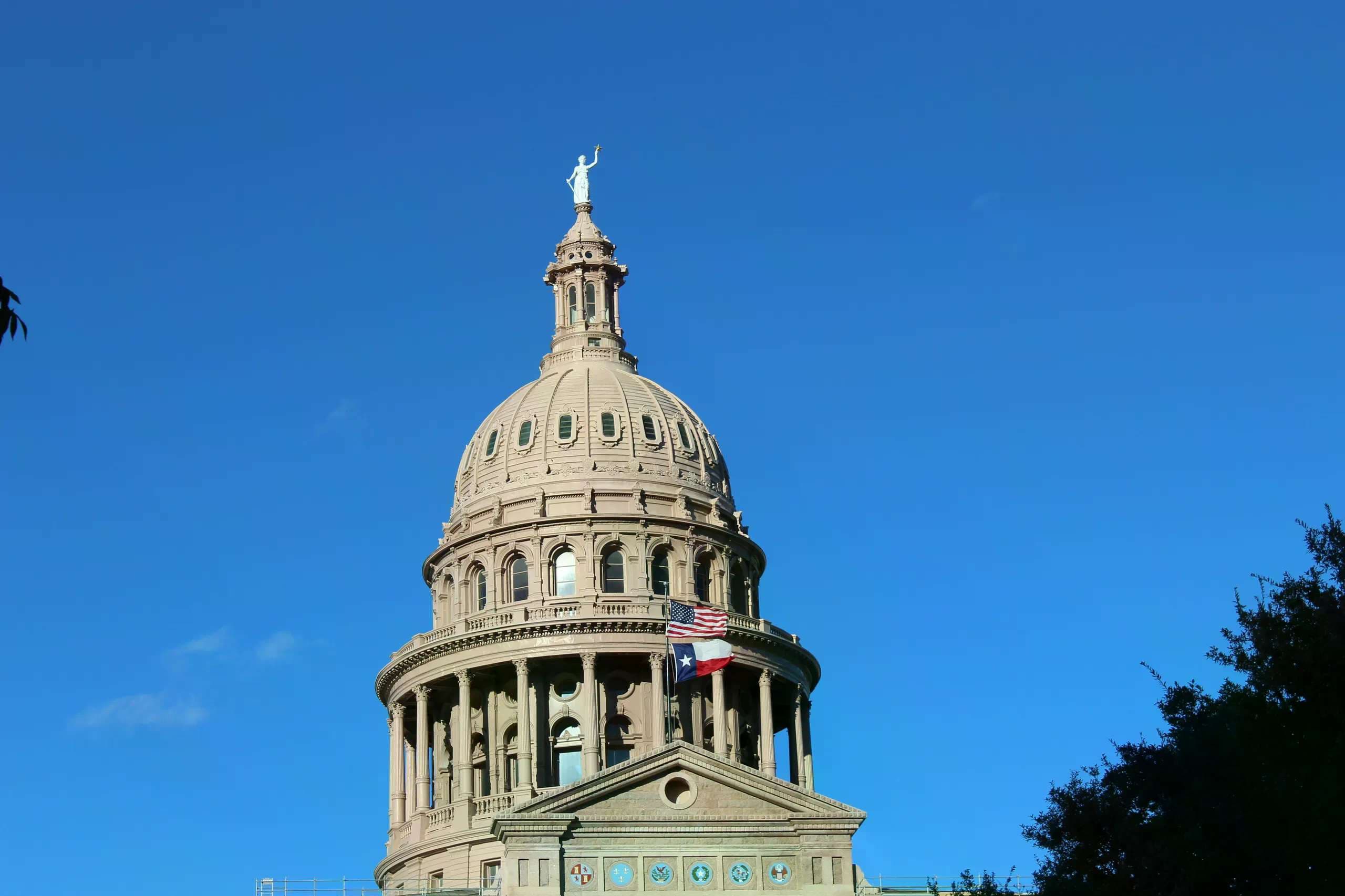 Upsets in Texas primaries: Crenshaw loses House bid, Talarico defeats Crockett in Senate contest