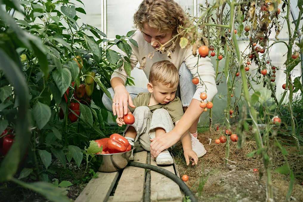 Why busy moms (especially) need a hobby