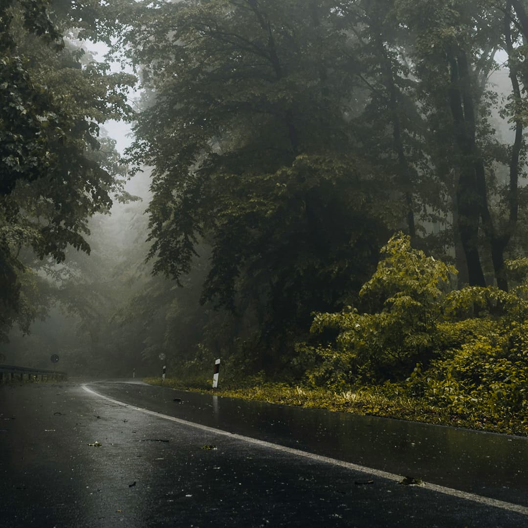 Psalm 96: Psalm of Grief