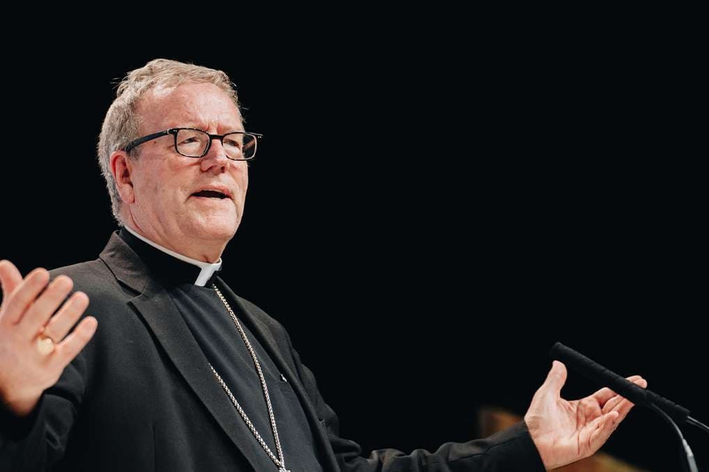 ‘We should not remain on the sidelines’: Bishop Barron calls Christians to stand up against assisted suicide