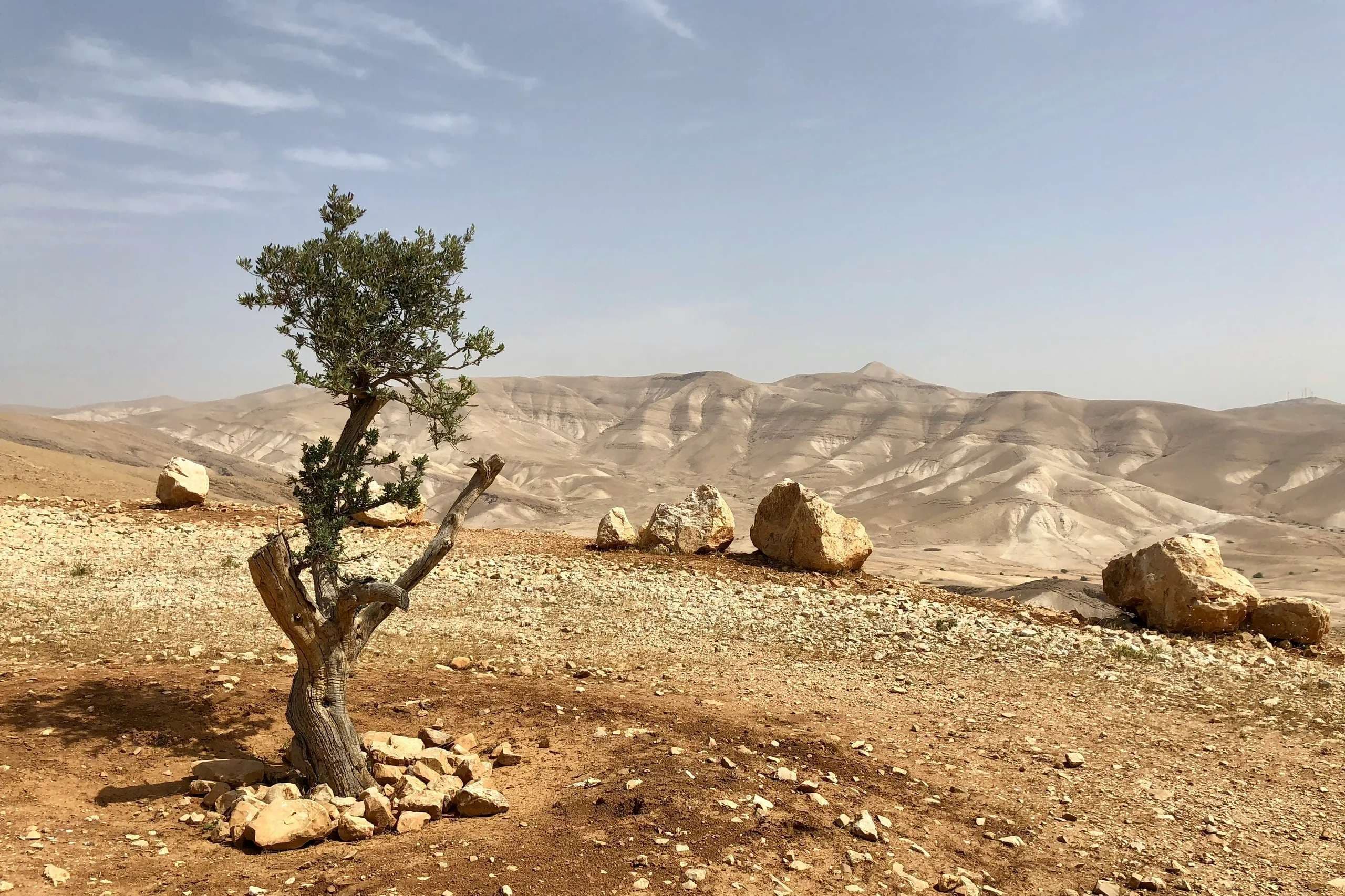 Dozens of radical Jewish settlers rampage through West Bank villages, torching homes and cars