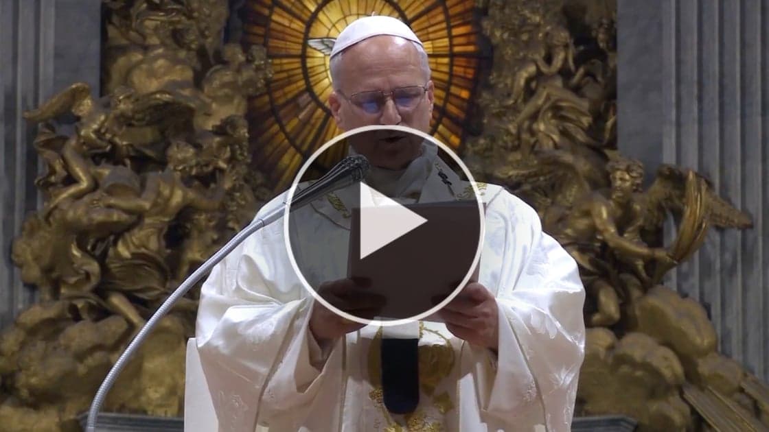 An American Pope: The First Year